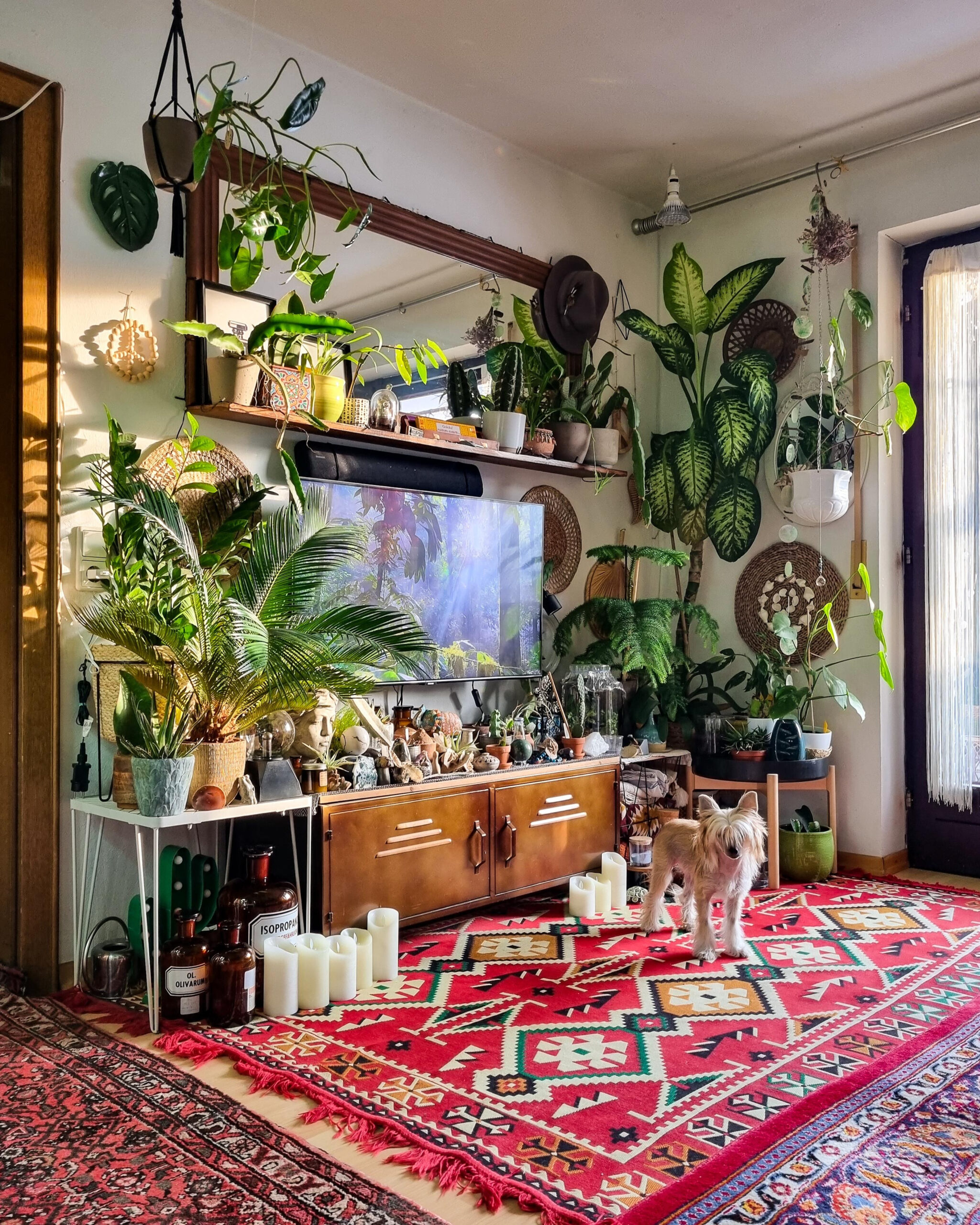 Hippie • Bilder &amp; Ideen • Couch with regard to Hippie Wohnzimmer