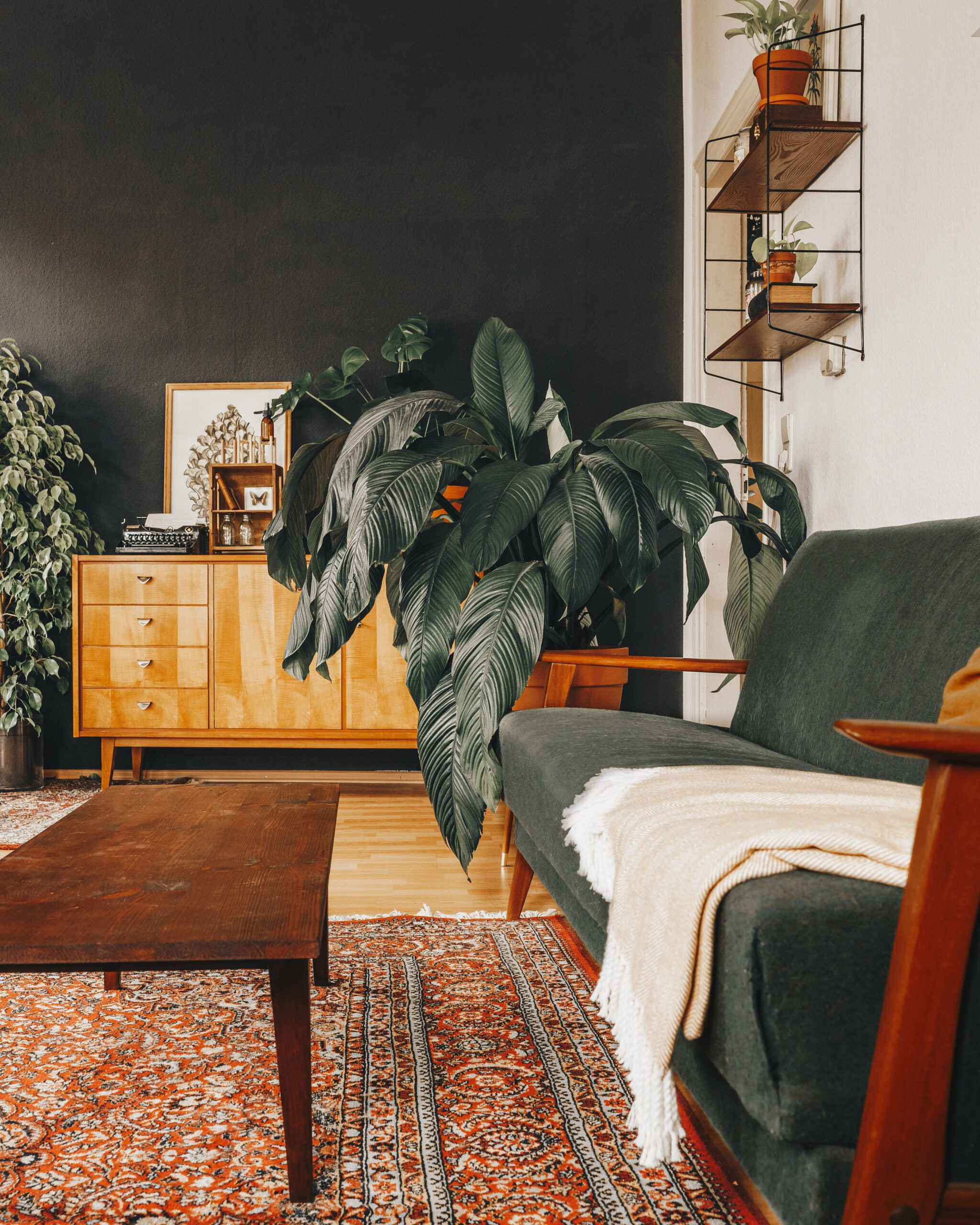 How To Style Your Mid Century Modern Urban Jungle Living Room in Mid Century Wohnzimmer