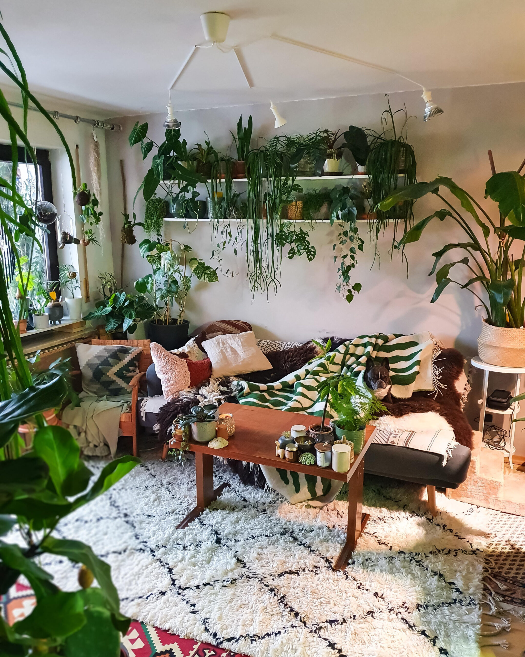 Vizefreitag #Wohnzimmer #Couchstyle #Pflanzen #Boho throughout Hippie Wohnzimmer